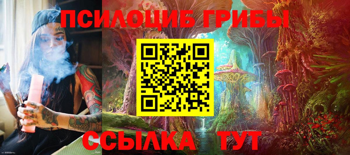 Галлюциногенные грибы Psilocybine cubensis Курган