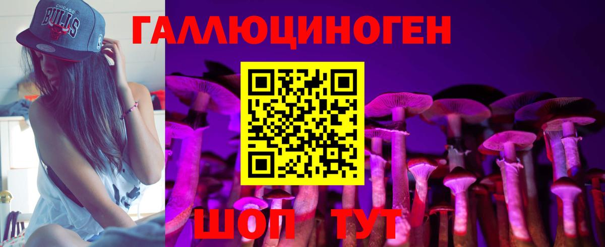 Курган  Псилоцибиновые грибы Cubensis  Вход с VPN 